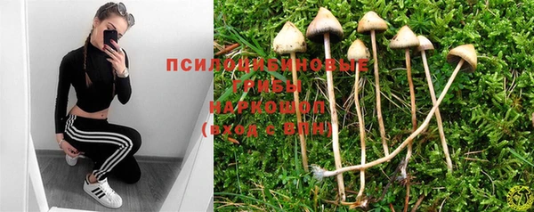 эйфоретик Медногорск