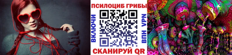 Галлюциногенные грибы Psilocybine cubensis Чулым
